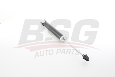 BSG 40-300-089 Amortısör Arka 553112H000