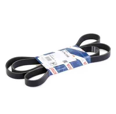 BOSCH 1987946281 V Kayısı A0129971292