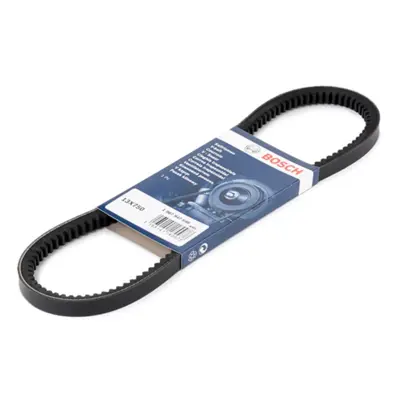 BOSCH 1987947648 V Kayısı 7655544