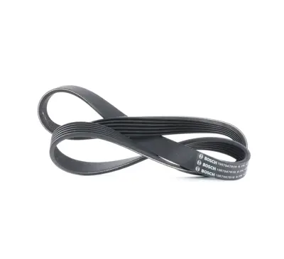BOSCH 1987947816 V Kayısı A0089973292