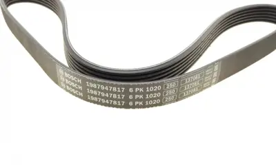 BOSCH 1987947817 V Kayısı 2S6E/6D314/AD*