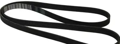 BOSCH 1987947819 V Kayısı A0089974492