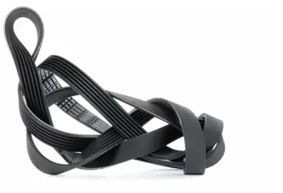 BOSCH 1987947956 V Kayısı A0029938996