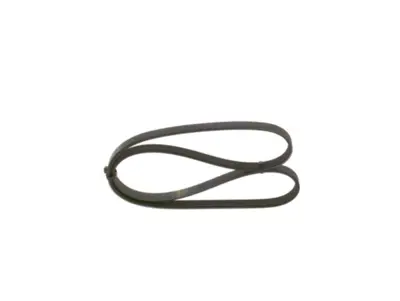 BOSCH 1987947963 V Kayısı BPH7/15/909