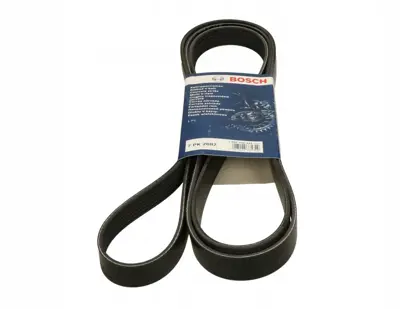 BOSCH 1987948441 V Kayısı 6C1Q/6C301/GC