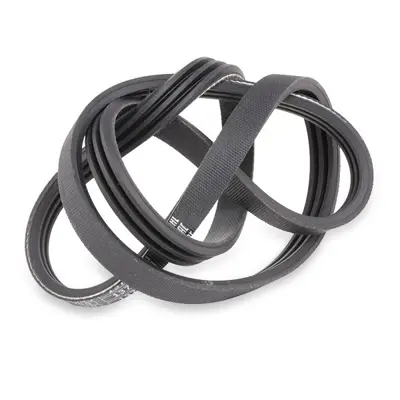 BOSCH 1987947854 V Kayısı 99363/30850