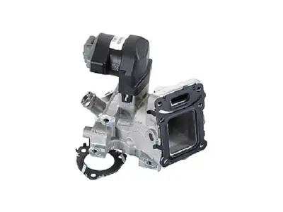 WAHLER 710967D Egr Valfı A2741420519