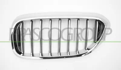 BMW 51137383519 Panjur Ön : L 51137383519