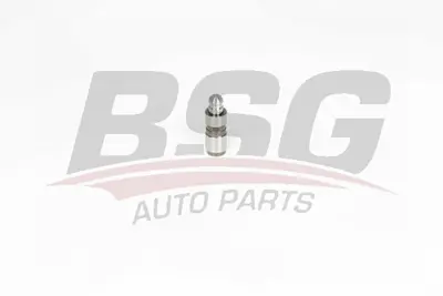 BSG 15-122-023 Supap Itıcı Tusu 11331247054, 11331433672, 11331712010, 11331714604, 11331715458, 11331721698, 1715458, 1714604, 1247054, 1721698