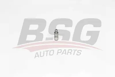 BSG 15-122-025 Supap Itıcı Tusu 11337512116, 22109423, 22109423C, 11332247722, 11332249817, 11337548690, 11338614951, 94253, 942G4, 9636848480