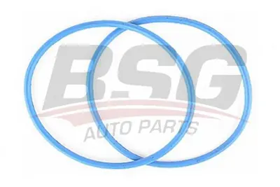 BSG 30-116-083 Termostat Kapak Orıngı W706406/S300