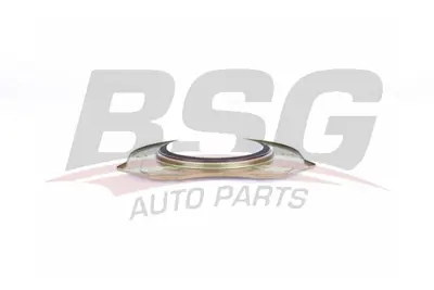 BSG 30-116-142 Krank Keçesı Arka 3S7Q/6701/AA