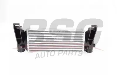 BSG 30-535-004 Turbo Radyatörü 2T1Q/9L440/AC