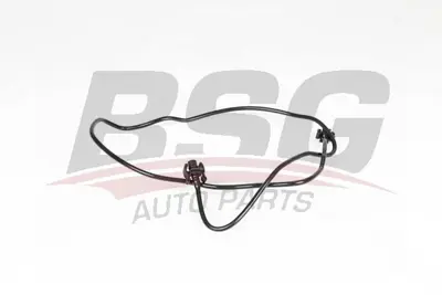 BSG 30-720-275 Radyatör Yedek Su Depo Hortumu BV61/8C012/AA