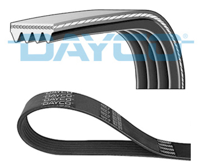 DAYCO 4PK930 V Kayısı 17521/85FA0