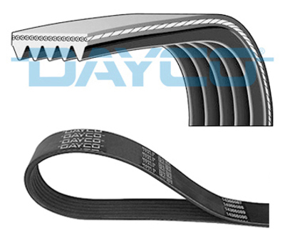DAYCO 5PK890 V Kayısı 6M5Q/6C301/BB