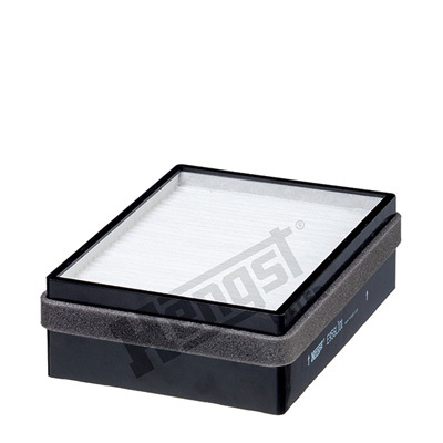 HENGST FILTER E956LI01 Polen Fıltresı 5021185573