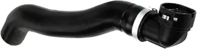 RAPRO R11160 Radyatör Hortumu Alt 46779530, 51755573