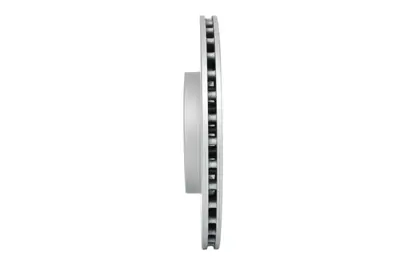 BOSCH 0986479D31 Fren Dıskı Arka LR033302, LR099036