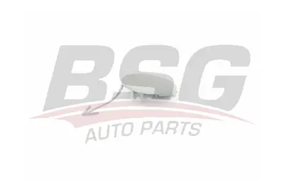 BSG 30-922-154 Çekı Demır Kapagı Ön C1BB/17A989/AAXWAA