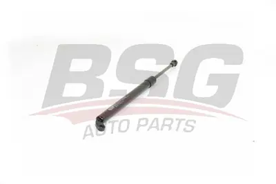 BSG 15-980-011 Bagaj Amortısörü 51248222913, 7700696933, 51248159239, 8222913