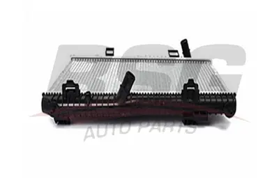 BSG 30-520-020 Su Radyatörü 8V51/8005/DG