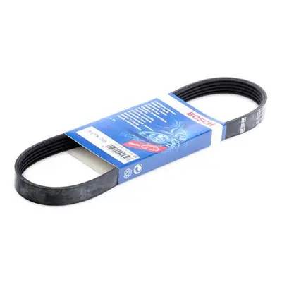 BOSCH 1987946134 V Kayısı 3M5Q/6D314/CB