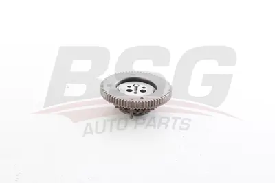 BSG 65-102-006 Eksantrık Dıslısı 55495936, 637011