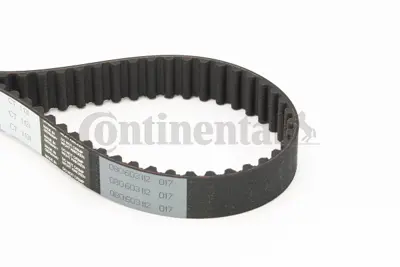 CONTINENTAL CONTITECH CT 1131 Triger Kayısı 059109119F