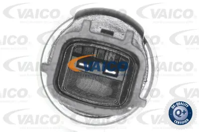 OEM 237963RC0A Eksantrik Yağlama Valfi Clio V Juke 237963RC0A, 916725