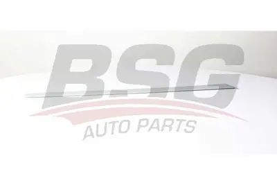 BSG 70-925-008 Kapı Bandı Arka Sag 8546L0