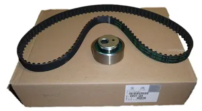 PSA 0831.Q4 Triger Kititu3jp 831Q4