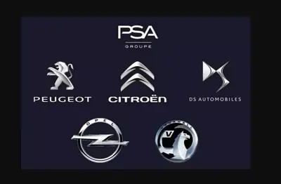 PSA 1609337380.12 Benzın Yakıt Katkısı Ltr1609337380 Sıparıs Geçınız 1606355880