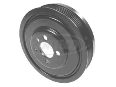 CORTECO 80000543 Krank Kasnagı 04L105243