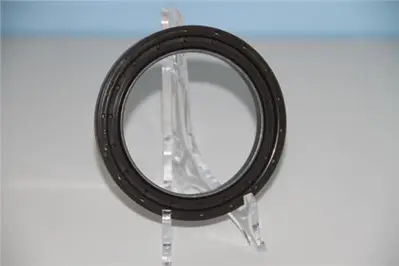 CORTECO 82019602 Krank Keçesı Arka 504123771