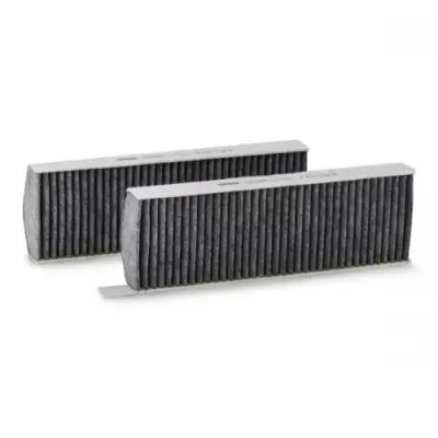 BSG 70-145-023 Polen Fıltresı 3638979, 6447XG, 647993, 9801448180, 1616959180, 1609998880, 95525903, 6447XF, 1609998980, 9821501880