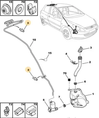 PSA 6433.96 Cam Silgi Rekoru 643396