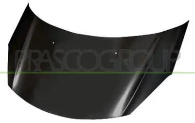 PSA 7901.R1 Engıne Bonnet 7901R1