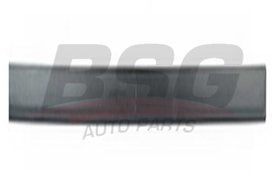 BSG 65-925-017 Kapı Bandı Ön Sag 5171020