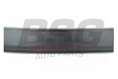 BSG 65-925-017 Kapı Bandı Ön Sag 5171020