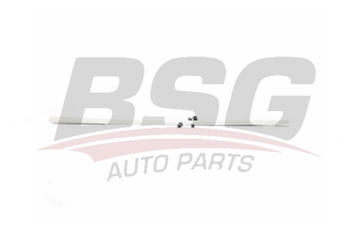 BSG 70-925-006 Kapı Bandı Ön Sag 8545Y8