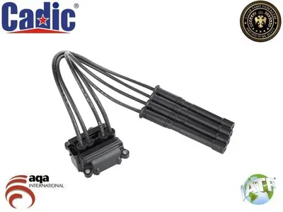 CADIC 45004911 Ateşleme Bobini Renault Clıo Iı (99-15) Renault Kangoo I (98-07) Renault Megane I (96-03) Renault Scenıc I (Ja) (96-03) 8200360911 8200702693 2244800QAF 8200734204 2246200Q0A 820084401 224404659R 77040001 2244800Q0A 8200713680