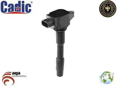 CADIC 45004428 Ateşleme Bobini  Captur J5, Clıo Iı, Clıo Iıı, Clıo Iv, Kangoo Iı-Iıı, Megane Iıı ,Megane Iv,Modus,Scenıc Iıı, Symbol Iıı, Dokker 15 , Duster Hs 09-18, Lodgy Js 12-15, Logan Iı, Sandero Iı, Cıtan W415, Mıcra V0.9-1.0-1.2,1.6 224332428R A2819060000 2819060000 2244800Q0F H8201154128 8201154128 2504058 BBP8V4701 134058 2899060000