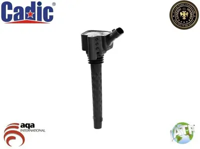 CADIC 45005613 Ateşleme Bobini 45005613