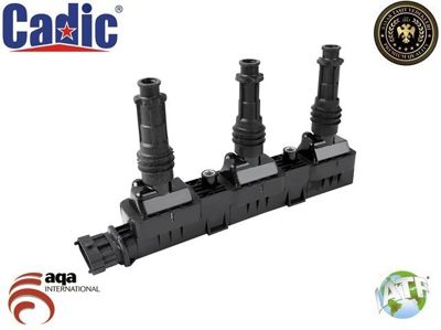 CADIC 45007306 Ateşleme Bobini 45007306