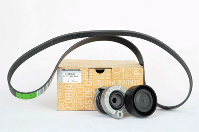 RENAULT 117204246R Alternatör Gergi Kiti 117204246r Kadjar Duster (Adblue Motor) 117204246R