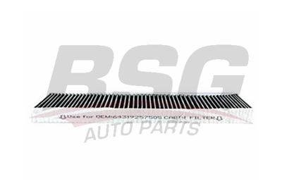 BSG 15-145-007 Polen Fıltresı 64319257505 64311496710 64311496711 64316930349 64316930351 9257505 6930568 64319127515 6930351 64113422664