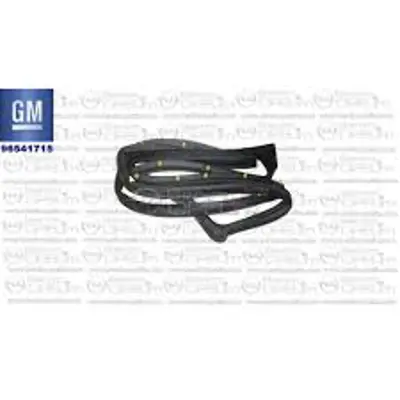 GM 22892533 Ön Kapı Cam Hareket Fıtılı : R