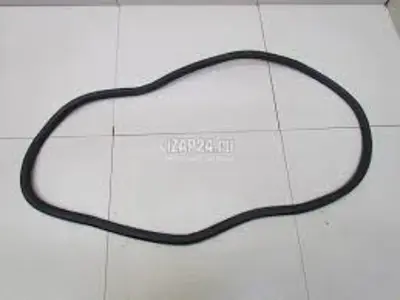GM 13260058 Kapı Fıtılı Arka Sağ
