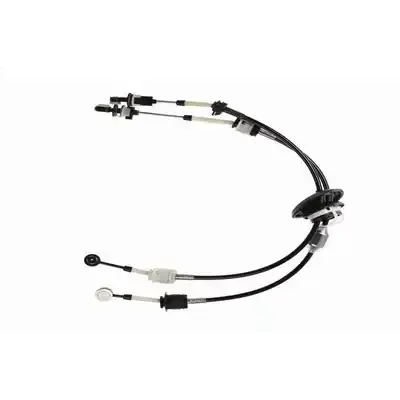 CAVO 6014 630 Vıtes Telı 2444CY